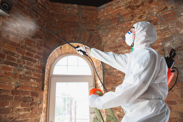 Best Commercial Mold Inspection in West Point, VA